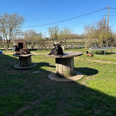 La Ferme Du Paradis Merris Exteriér fotografie