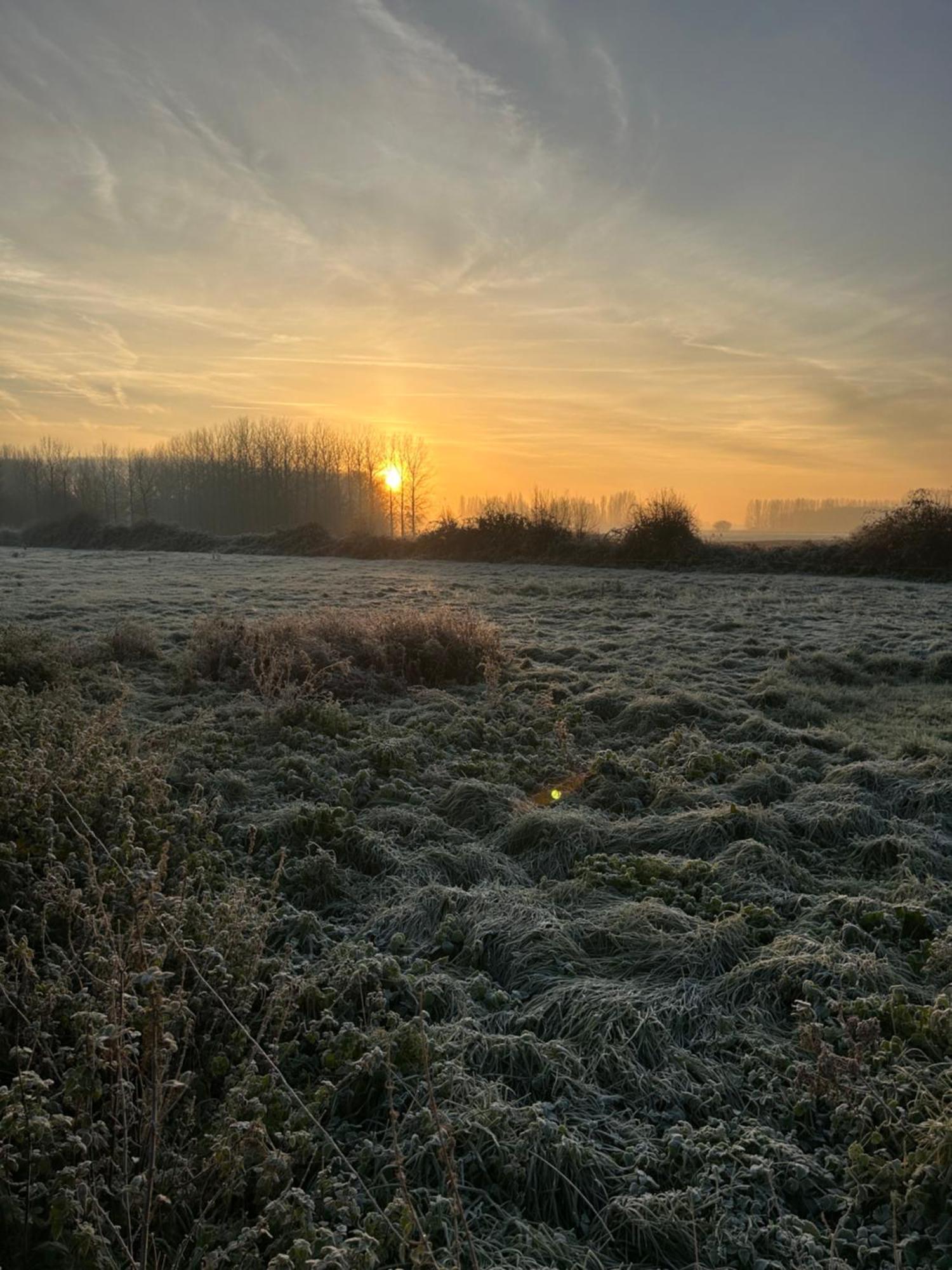 La Ferme Du Paradis Merris Exteriér fotografie