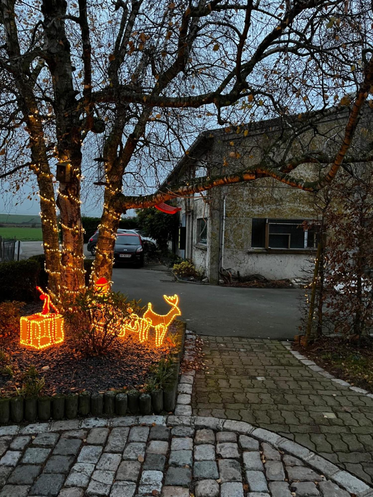 La Ferme Du Paradis Merris Exteriér fotografie