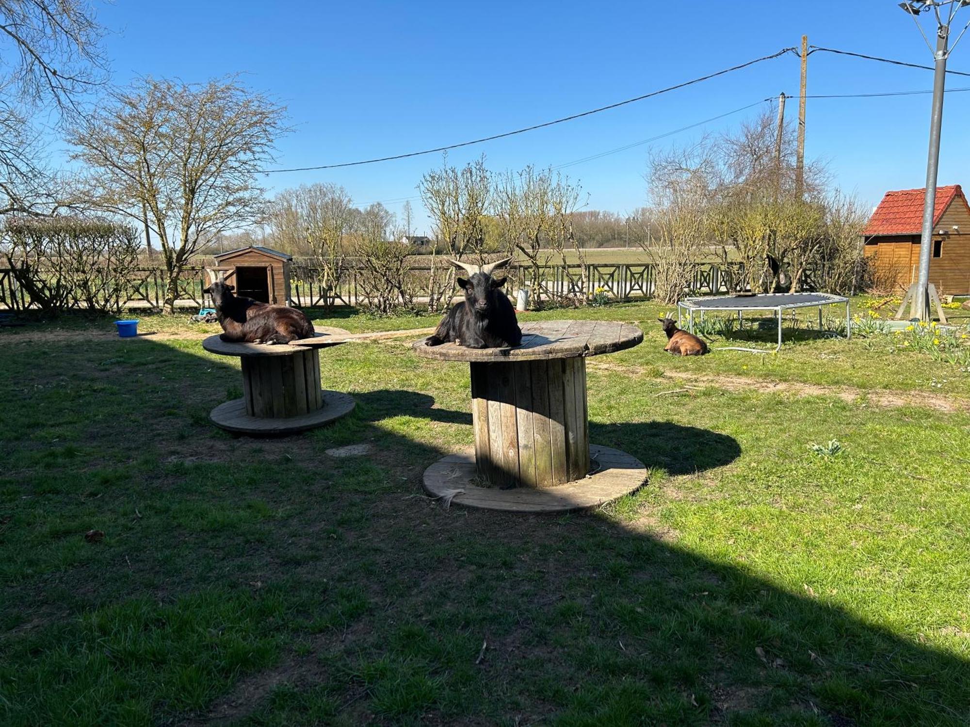 La Ferme Du Paradis Merris Exteriér fotografie